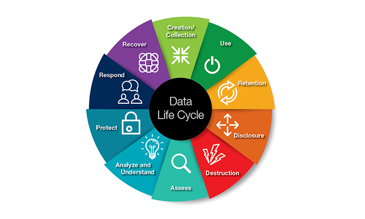 Data Life Cycle